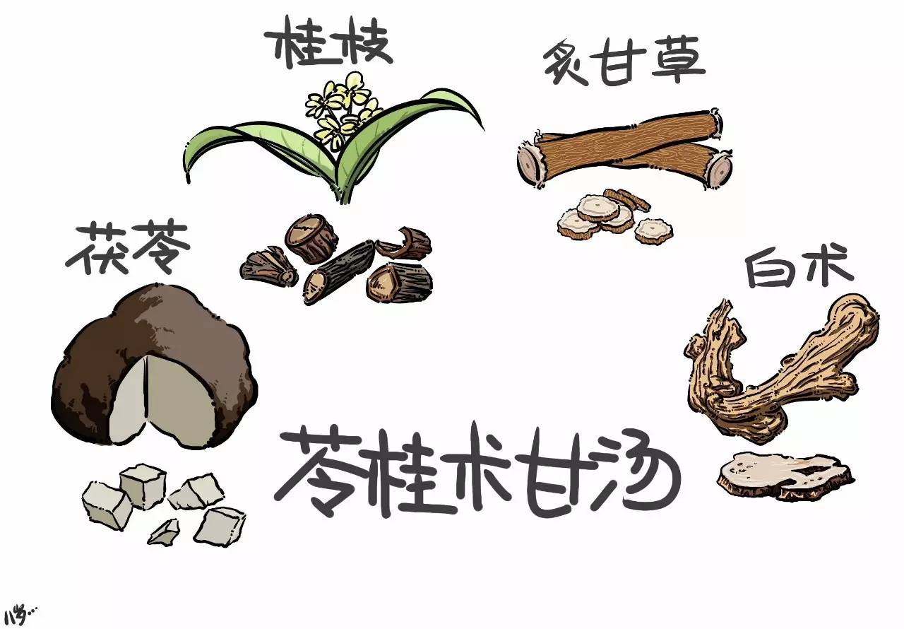 苓桂术甘汤