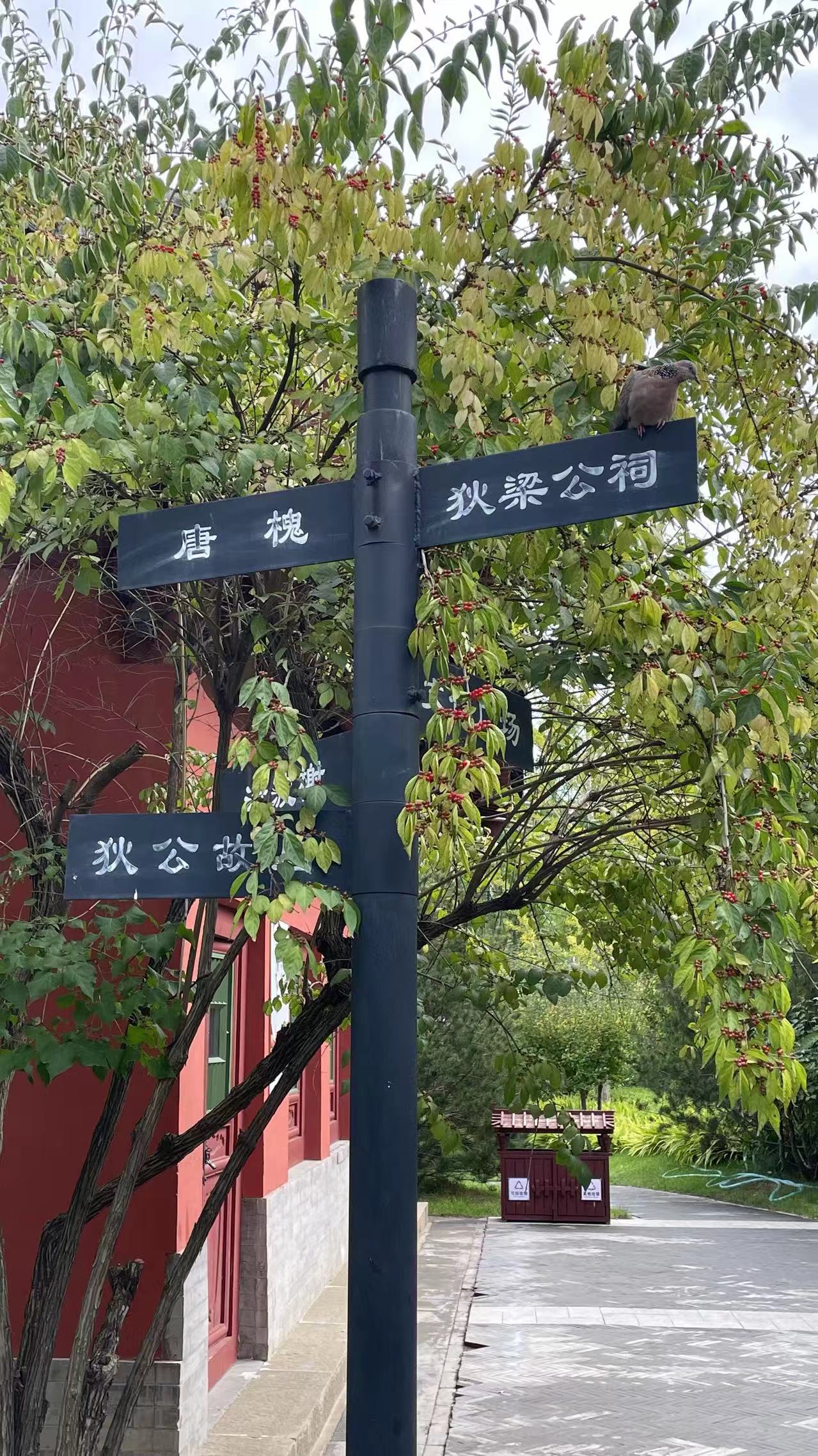 direnjie (5).jpg